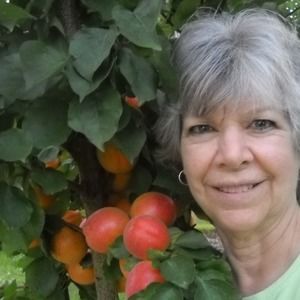 Meet your Posher, Gail